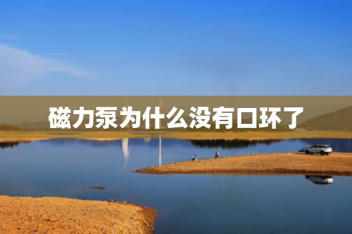 磁力泵為什么沒有口環(huán)了