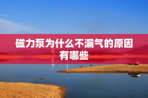 磁力泵為什么不漏氣的原因有哪些