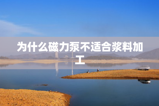 為什么磁力泵不適合漿料加工
