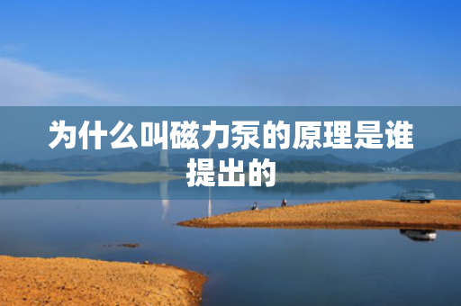 為什么叫磁力泵的原理是誰(shuí)提出的