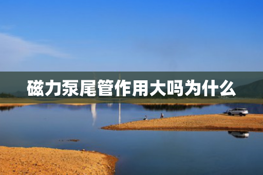 磁力泵尾管作用大嗎為什么