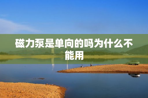 磁力泵是單向的嗎為什么不能用