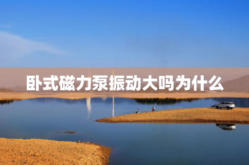 臥式磁力泵振動(dòng)大嗎為什么