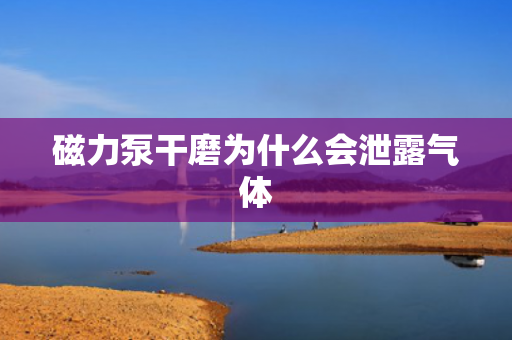 磁力泵干磨為什么會泄露氣體