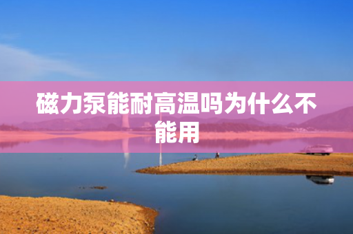 磁力泵能耐高溫嗎為什么不能用