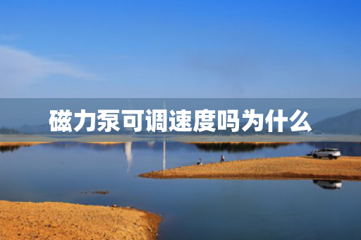 磁力泵可調速度嗎為什么