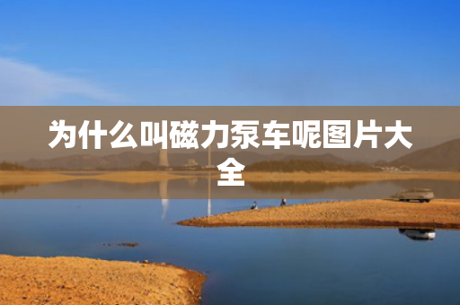 為什么叫磁力泵車呢圖片大全