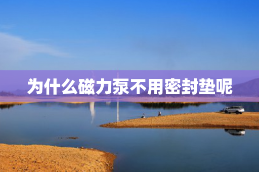 為什么磁力泵不用密封墊呢