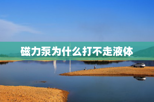 磁力泵為什么打不走液體