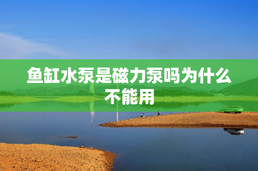 魚缸水泵是磁力泵嗎為什么不能用