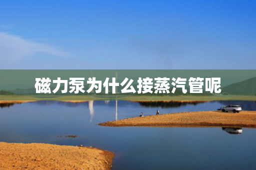 磁力泵為什么接蒸汽管呢