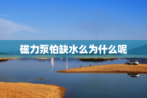 磁力泵怕缺水么為什么呢