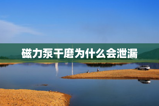 磁力泵干磨為什么會泄漏