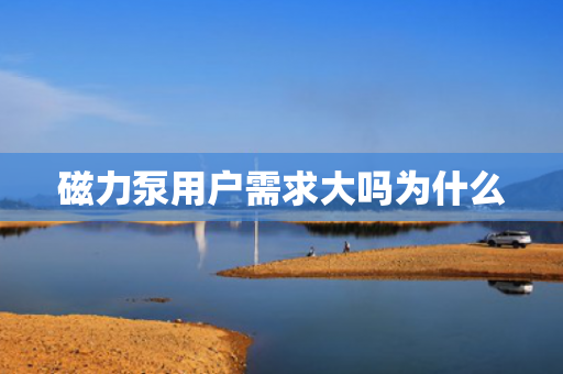 磁力泵用戶需求大嗎為什么
