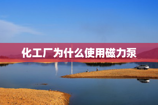 化工廠為什么使用磁力泵