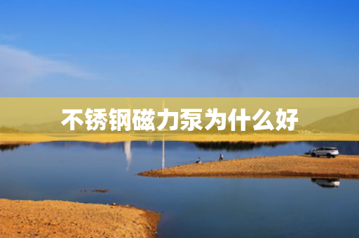 不銹鋼磁力泵為什么好