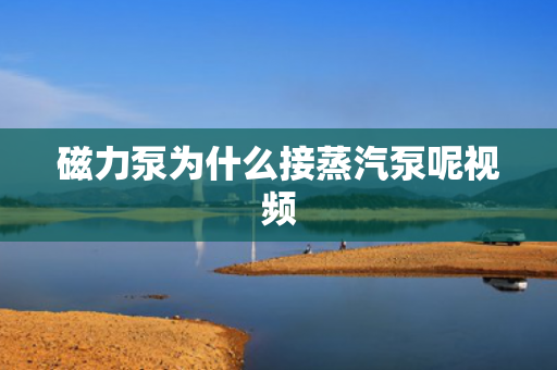 磁力泵為什么接蒸汽泵呢視頻