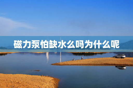 磁力泵怕缺水么嗎為什么呢