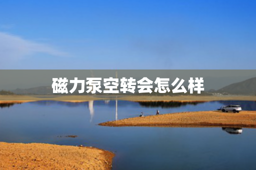 磁力泵空轉(zhuǎn)會(huì)怎么樣