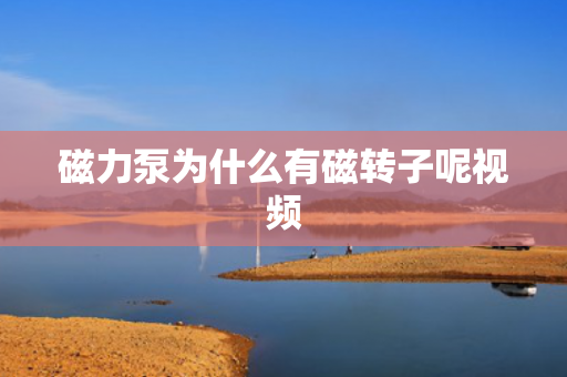 磁力泵為什么有磁轉(zhuǎn)子呢視頻