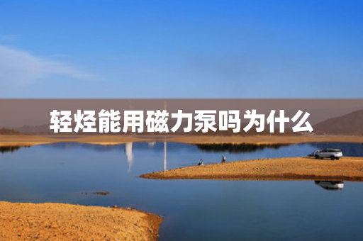輕烴能用磁力泵嗎為什么