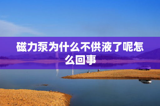 磁力泵為什么不供液了呢怎么回事