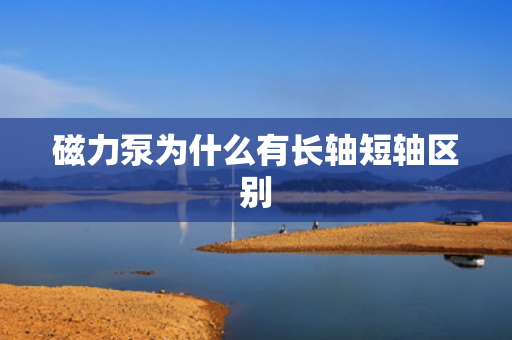 磁力泵為什么有長軸短軸區(qū)別