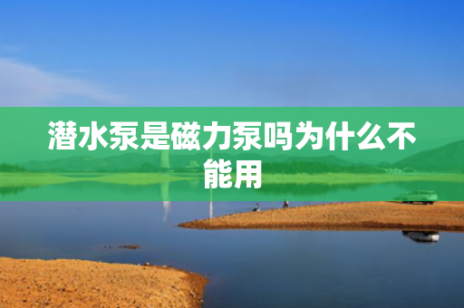 潛水泵是磁力泵嗎為什么不能用