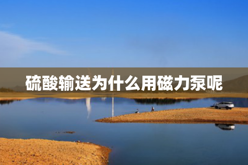 硫酸輸送為什么用磁力泵呢