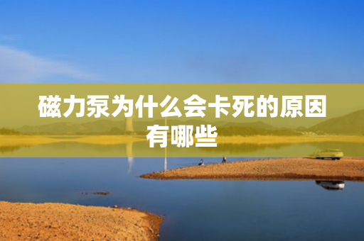 磁力泵為什么會(huì)卡死的原因有哪些