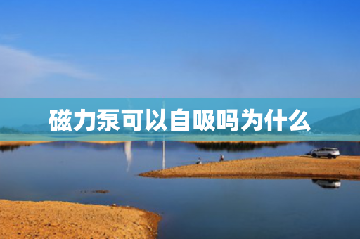 磁力泵可以自吸嗎為什么
