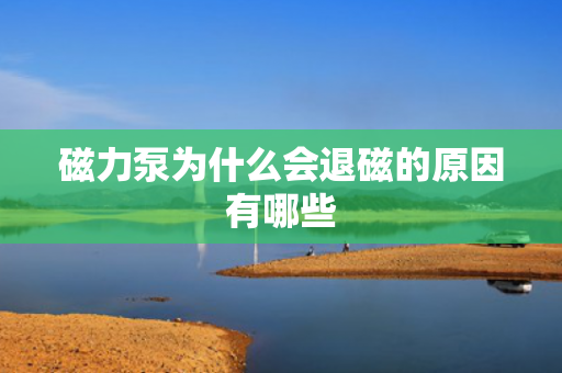 磁力泵為什么會(huì)退磁的原因有哪些