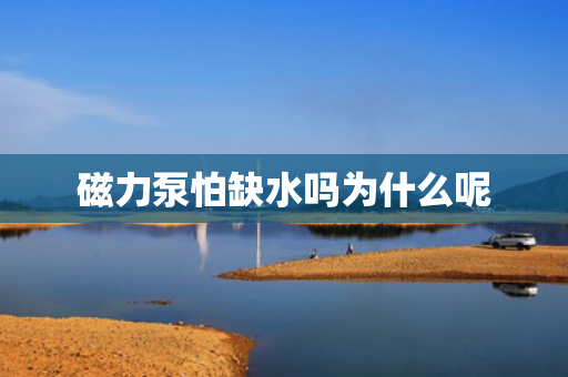 磁力泵怕缺水嗎為什么呢