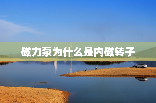 磁力泵為什么是內(nèi)磁轉(zhuǎn)子