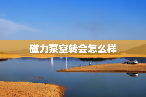 磁力泵空轉(zhuǎn)會(huì)怎么樣