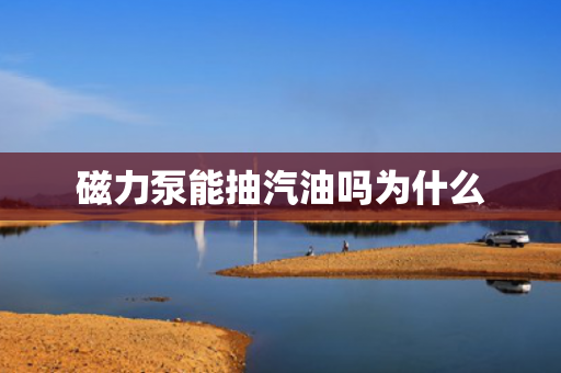 磁力泵能抽汽油嗎為什么