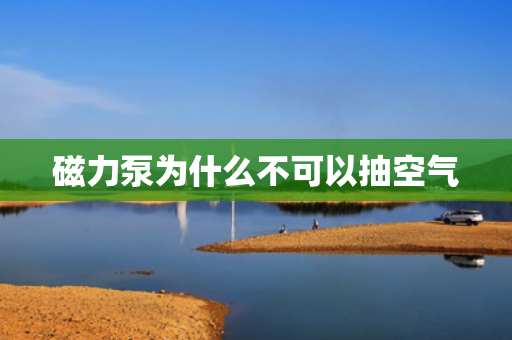 磁力泵為什么不可以抽空氣