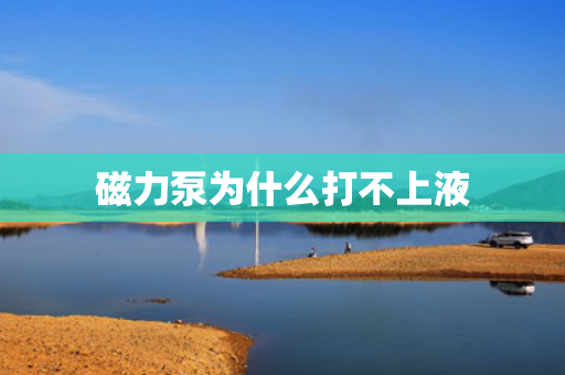 磁力泵為什么打不上液