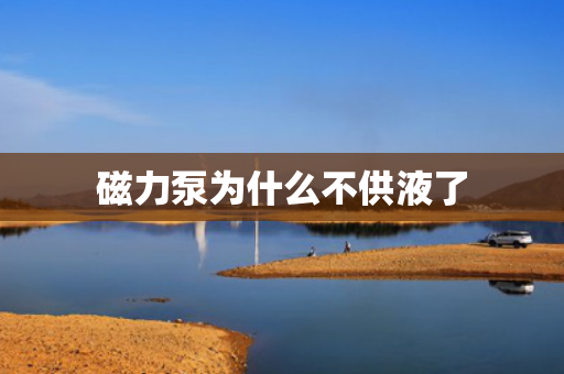 磁力泵為什么不供液了