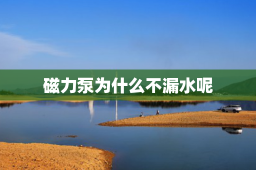 磁力泵為什么不漏水呢