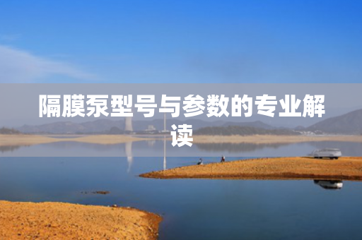 隔膜泵型號與參數(shù)的專業(yè)解讀