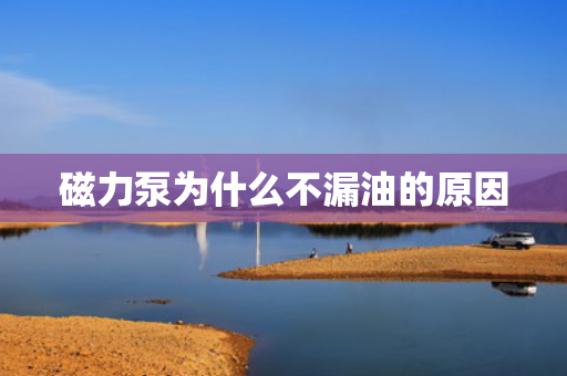 磁力泵為什么不漏油的原因