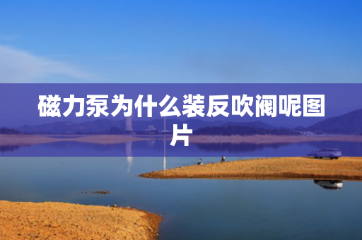 磁力泵為什么裝反吹閥呢圖片