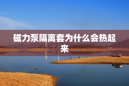 磁力泵隔離套為什么會熱起來