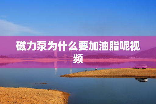磁力泵為什么要加油脂呢視頻