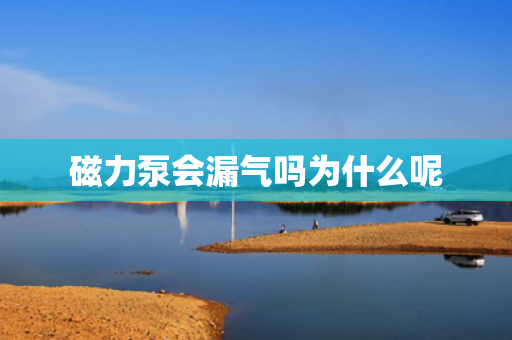 磁力泵會漏氣嗎為什么呢