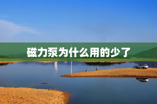 磁力泵為什么用的少了