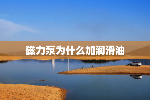 磁力泵為什么加潤(rùn)滑油