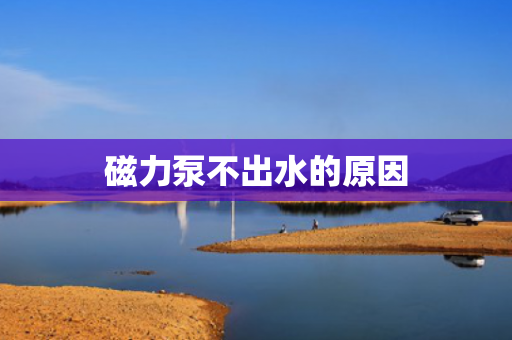 磁力泵不出水的原因