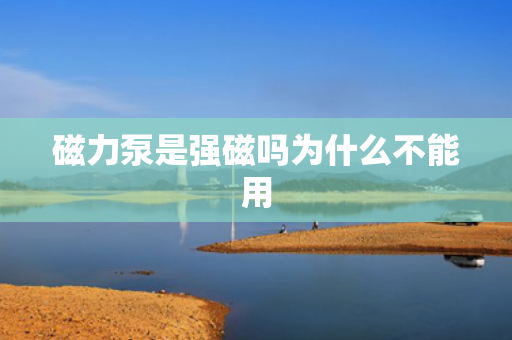 磁力泵是強(qiáng)磁嗎為什么不能用